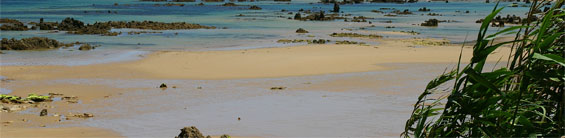 Vista playa de Trengandin con marea baja